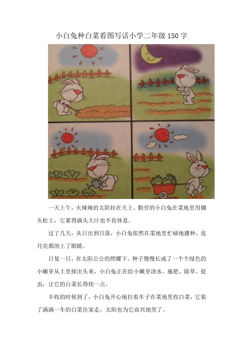 小白兔种白菜看图写话小学二年级150字