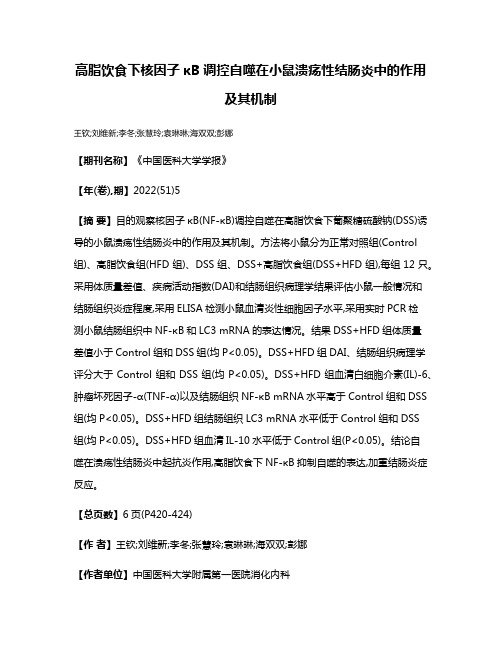 高脂饮食下核因子κB调控自噬在小鼠溃疡性结肠炎中的作用及其机制