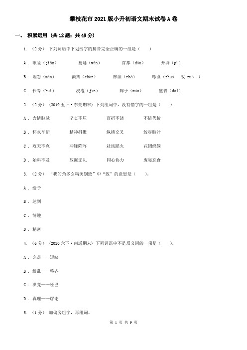 攀枝花市2021版小升初语文期末试卷A卷精编