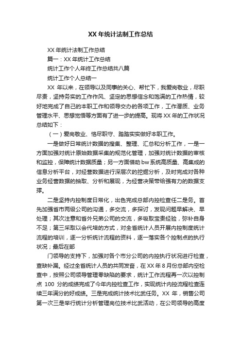 XX年统计法制工作总结