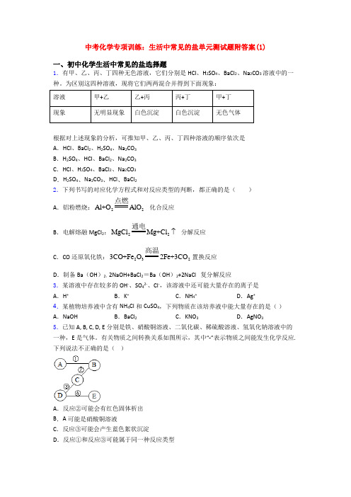 中考化学专项训练：生活中常见的盐单元测试题附答案(1)