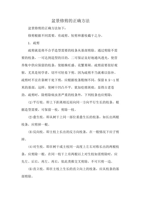 盆景修剪的正确方法