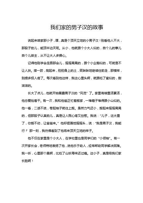 我们家的男子汉的故事