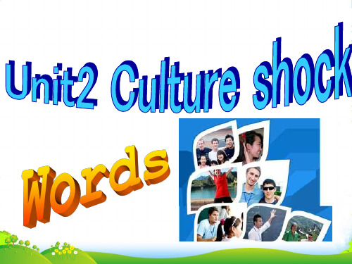 牛津深圳版九年级英语下册Unit2 Culture shock教学课件 words