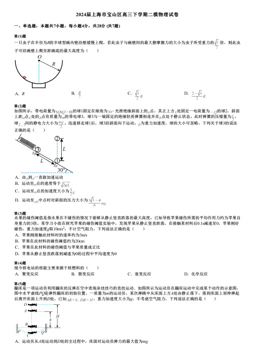 2024届上海市宝山区高三下学期二模物理试卷