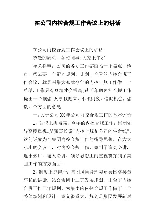 在公司内控合规工作会议上的讲话