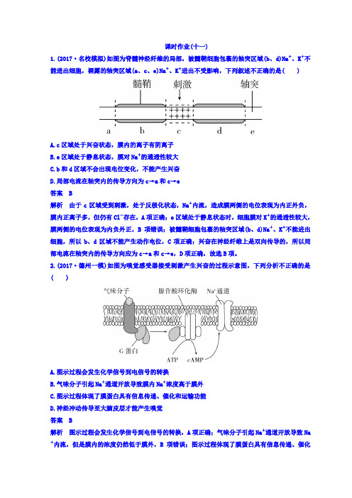 2018届高考生物二轮专题复习测试题 :专题11动物生命活动的调节 含答案