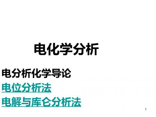 第九章  电化学析法导论-PPT文档资料