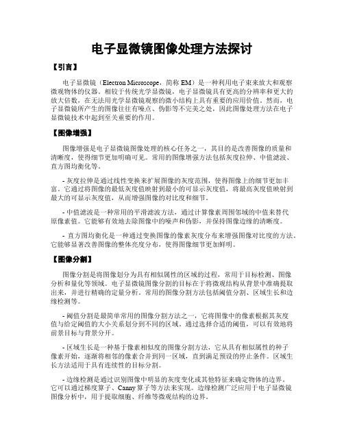 电子显微镜图像处理方法探讨