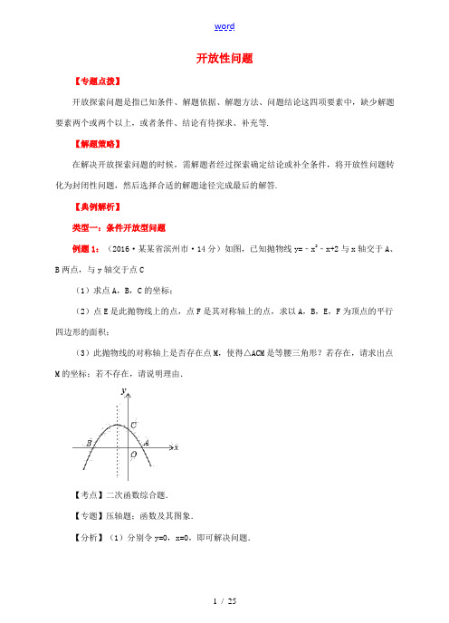 中考数学专题复习 开放性问题-人教版初中九年级全册数学试题