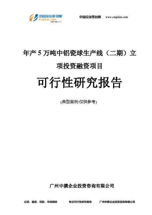 年产5万吨中铝瓷球生产线(二期)融资投资立项项目可行性研究报告(非常详细)