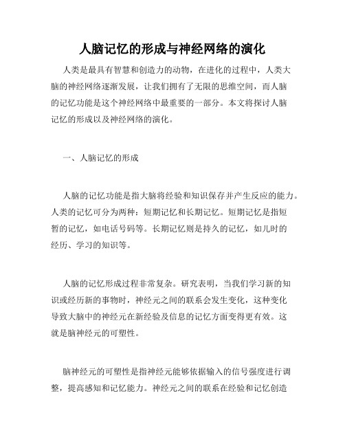 人脑记忆的形成与神经网络的演化