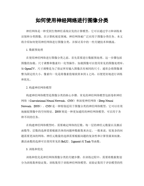 如何使用神经网络进行图像分类