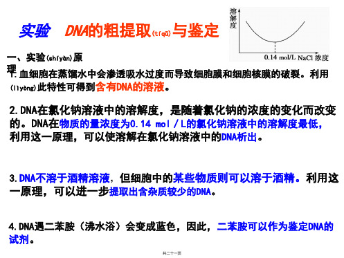 实验 DNA的粗提取与鉴定