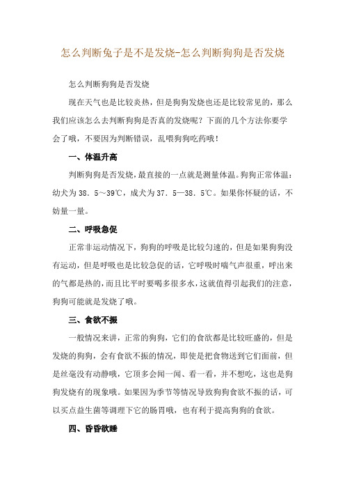 怎么判断兔子是不是发烧-怎么判断狗狗是否发烧