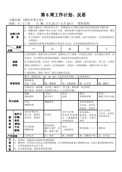 大班下学期第6周 周工作计划与反思