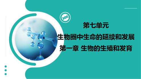 7.1生物的生殖和发育章末复习课件人教版生物八年级下册