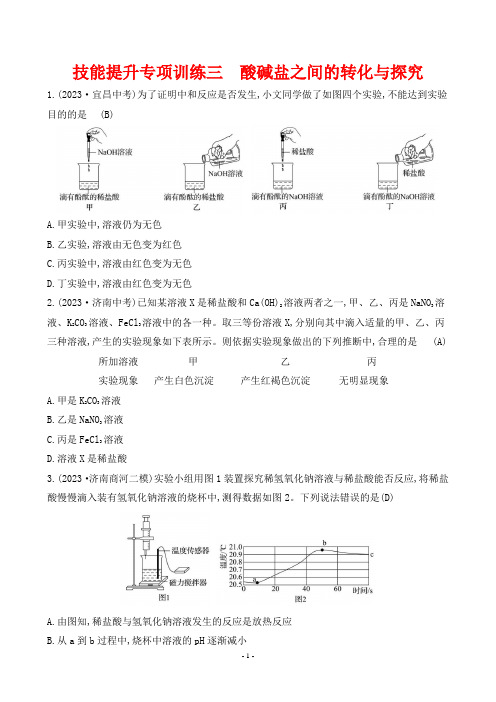 2024年中考化学总复习技能提升专项训练三酸碱盐之间的转化与探究