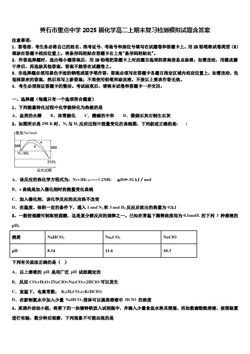 黄石市重点中学2025届化学高二上期末复习检测模拟试题含答案