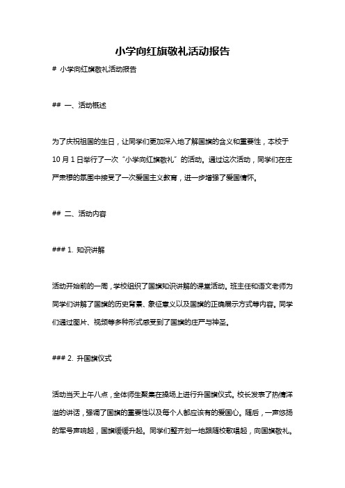 小学向红旗敬礼活动报告