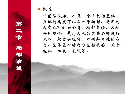 局部望诊