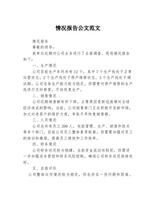 情况报告公文范文