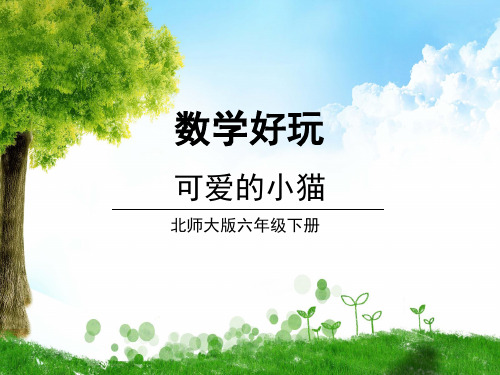 北师大版数学六年级下册第3课时 可爱的小猫课件