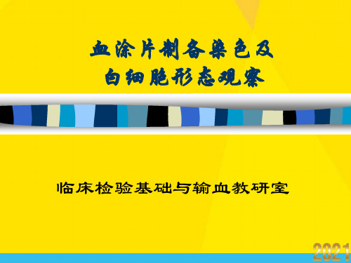 血涂片制备染色及白细胞形态观察优秀文档