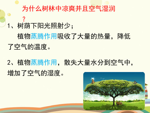 初中生物济南版七年级上册多彩的生物世界第二节绿色植物的蒸腾作用PPT