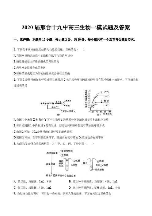 2020届邢台十九中高三生物一模试题及答案