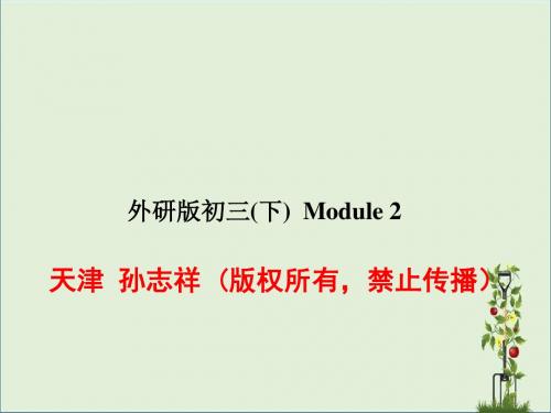 英语9年级下外研版：全册精品PPT课件(35份)英语：Module 2 Unit 2