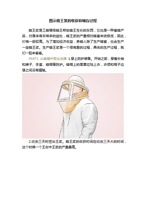 图示蜂王浆的收获和储存过程