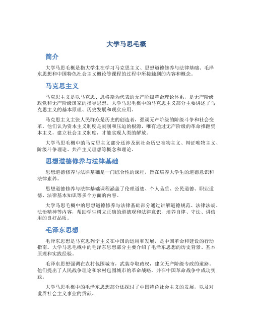 大学马思毛概