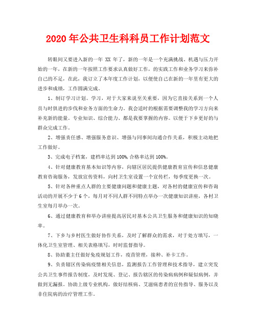 2020年公共卫生科科员工作计划范文