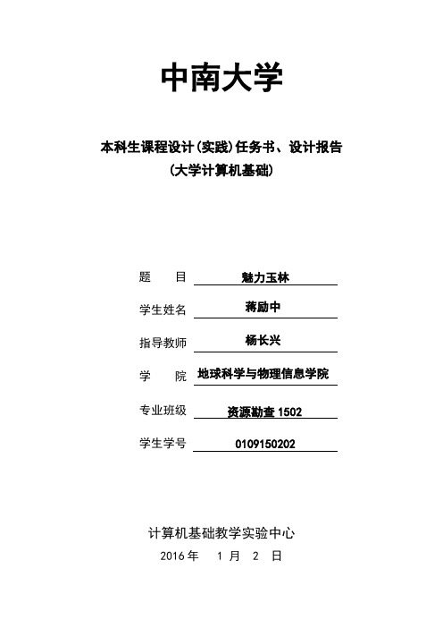 中南大学计算机实践报告论文