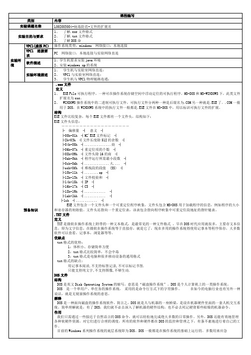 L002003004-病毒防范-文件的扩展名