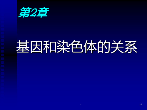 一节：2、受精作用PPT课件