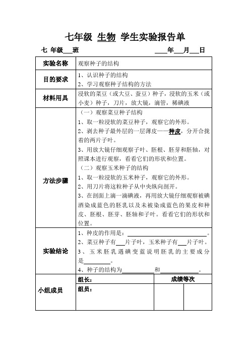 观察种子的结构 实验报告单