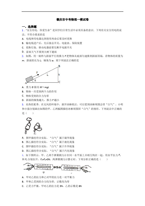 肇庆市中考物理一模试卷