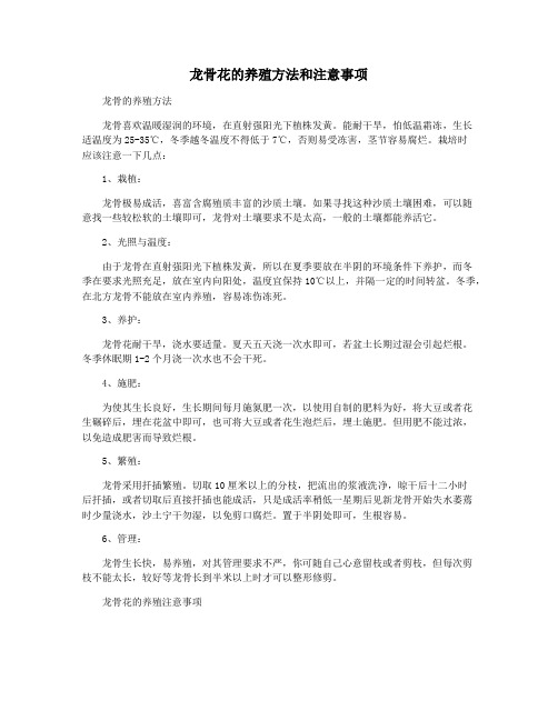 龙骨花的养殖方法和注意事项