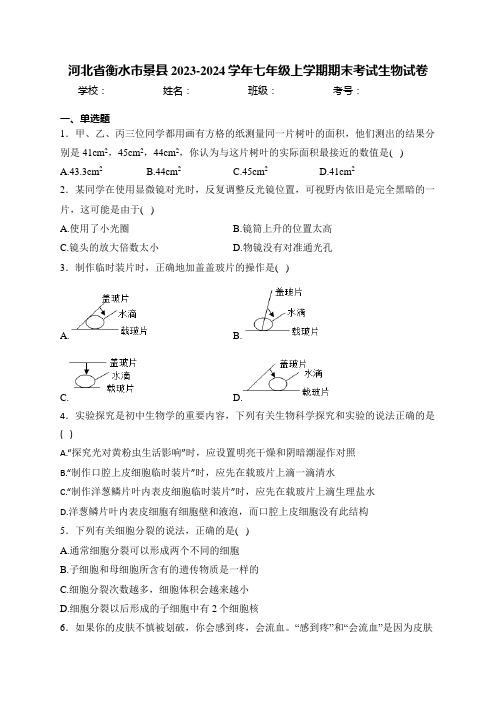 河北省衡水市景县2023-2024学年七年级上学期期末考试生物试卷(含答案)