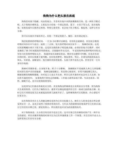 狗狗为什么把头放在床底