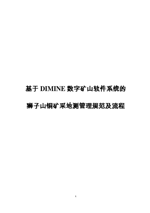 基于DIMINE数字矿山软件系统的使用规范和流程