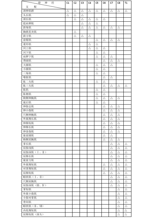 颈脊神经支配范围