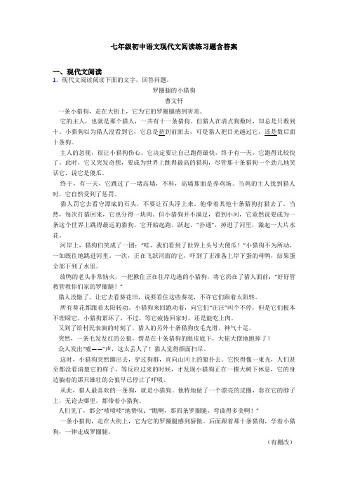 七年级初中语文现代文阅读练习题含答案