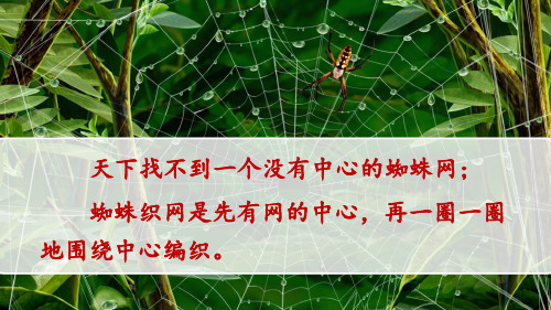 六上语文习作例文:《爸爸的计划》《小站》