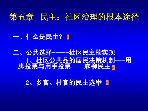 第五章 民主：社区治理核心理念