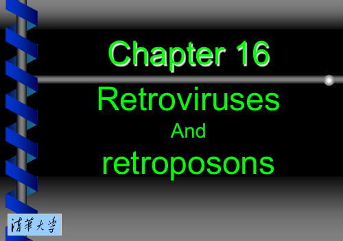 分子生物学 第十六章 逆转录病毒和逆转座子