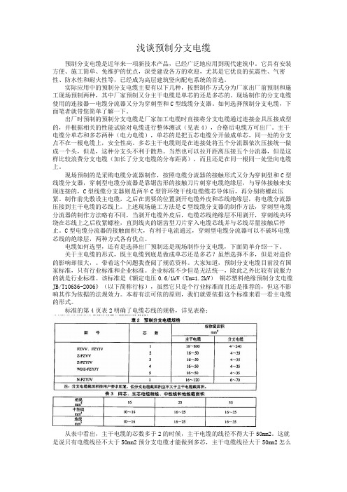 预分支电缆