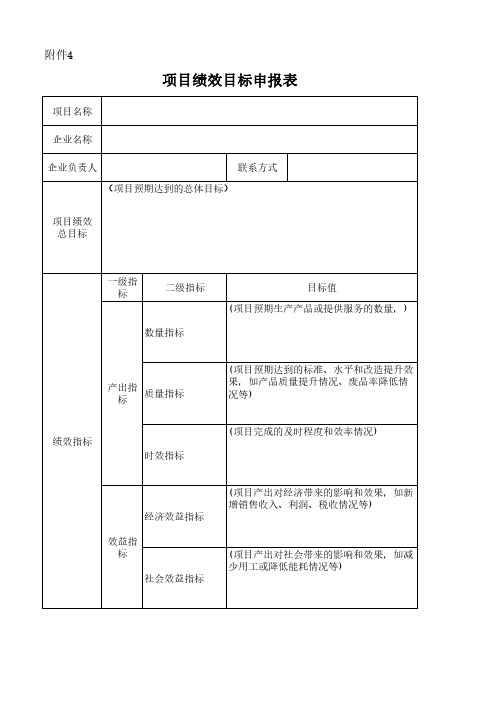 项目绩效目标申报表